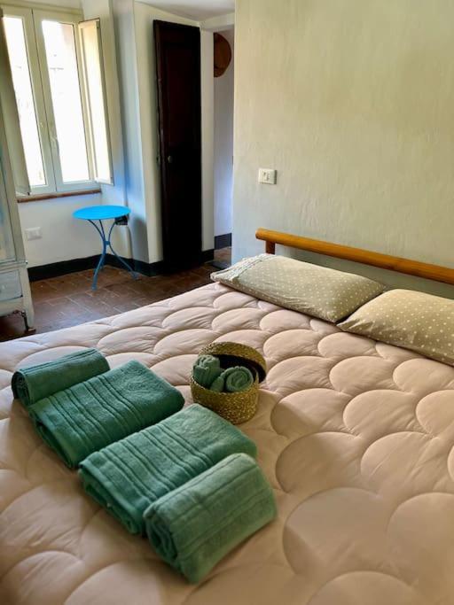 Charming House Isola Di Casa Carlo Alberto Apartment *